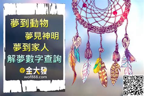 魚代表數字|夢見各種夢所代表的樂透數字（動物篇），周公解夢大全查詢